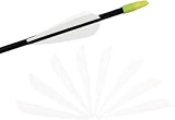 Segrehy Arrow Feather DIY Fletching Accessoires Leichte 12 Stcs 3 Zoll für die Jagdschießbogenschießen (Weiß)