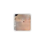 Cimenexe Böhmische Rubin Tropfen Choker Halskette Rot Kristall Oval Anhänger Halskette Kleine Rubin Kette Halskette Rot Rubin Oval Kragen Halskette Schmuck Für Frauen