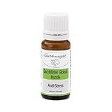 Care4mypet Hunde Bachblüten Globuli Anti Stress speziell für Hunde. Relax ist EIN natürliches Beruhigungsmittel bei Unruhe, Nervosität, Reise, Lärm, Unwetter oder allgemeine Furcht. Die sanfte Hilfe