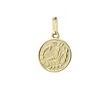 NKlaus Skorpion Sternzeichen 333 8 Karat Gelbgold 12mm Kettenanhänger Horoskop Zodiak 9132
