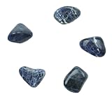 Steinfixx® - Sodalith I Trommelstein I Edelstein I Heilstein I Glücksstein I Chakra-Stein I Halschakra (1 Stück)