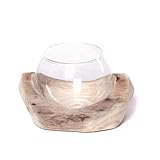 CREEDWOOD Wurzelholz Windlicht Nuria | 18x11x15 cm | mit Glaseinsatz | Holz Stamm, Deko Vase, Windlicht, Teelichthalter in Holz Schale, Tischdeko