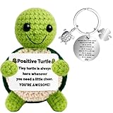 Hpbaggy Positive Schildkröte, Schildkröte Pocket Hug Puppe mit schildkröte Schlüsselanhänger, Glücksbringer SchildkrötE, Motivationsgeschenke, Gute Besserung Geschenk, Einschulung Geschenk