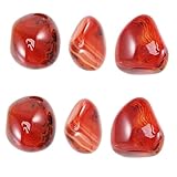 Baluue 2 Sätze Achat Palmensteine Healing Stone Glasgefäß Terraristik Terrarium Kaufen Natürliche Polierte Edelsteine Heilstein Sardonyx Kiesel Sardonyx-kiesel Achatstein 3 Stück * 2