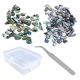 2 Packungen Mit 80 G Abalone-Muscheln, 1 Pinzette, 1 Aufbewahrungsbox, Muscheln Zum Basteln, Abalone-Muscheln, Zerkleinerte Muscheln, Austernschalen, Muschelschmuck