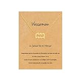22Baby Anmutige Sternzeichen Halskette | Wassermann | Karte mit Sternzeichen-Charakteristik | Vergoldet | Kleines Geschenk Freund Freundin | Geschenkideen Astrologie Horoskop