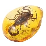 Cabilock Bernstein Anhänger Form Echtes Insekten Bernstein Schmuckstück Dekoratives Amulett für Halsketten Langlebiger Leichter Sammlerstück Charme Einzigartiges Geschenk