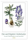 Die wichtigsten Heilkräuter (Wandkalender 2026 DIN A3 hoch), CALVENDO Monatskalender: Die bekanntesten Heilpflanzen einzigartig gezeichnet (CALVENDO Gesundheit)