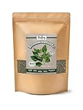 Biojoy BIO-Brennessel-Tee (250 g), Brennnesselblätter getrocknet und geschnitten, Kräutertee (Urtica dioica)