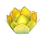 Lotus-Licht Abendsonne grün-gelb