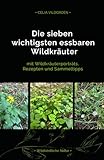 Die sieben wichtigsten essbaren Wildkräuter