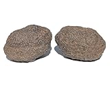 MKÖPKE Moqui Marbles 36 g - Moquis Paar energetische Steine Glücksbringer »treuer Liebling« Shaman Stones I 03