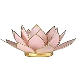 Lotus Licht Rosa Pastell Goldrand - 13.5 cm