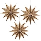 SUNBEAUTY 3 Stück Papier Stern 29cm Original Holzfarbe Faltsterne Dekoration Zwölf Ecken Papierfächer Party Deko Set für Hochzeit Geburtstag Tischdeko Classroom Baby Shower Backdrop Garland