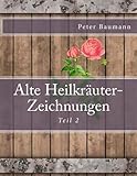 Alte Heilkräuter-Zeichnungen Teil 2