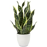 Kunstpflanze Sansevieria, Kunstpflanze Klein, Zimmerpflanze Künstlich, 42CM Künstliche Schlangenpflanze für Home Office Hotel Bookstore Cafe Moderne Dekoration, Hellgrün