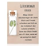 Hestya Glücksbringer Geschenke Echtes Vierblättriges Kleeblatt im Glas zum Kollegin Freundin Geschenkidee für Jeden Anlass Wunscherfüller Geschenke für Weihnachten Muttertag Geburtstag