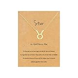 22Baby Anmutige Sternzeichen Halskette | Stier | Bezaubernder Anhänger | Karte mit Sternzeichen-Charakteristik | Vergoldet | Unisex | Geschenkideen Astrologie Horoskop