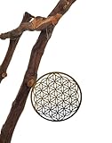 MC-Trend 1 Metall Blume des Lebens Aufhänger Yoga Meditation Suncatcher Chakra Deko Zuhause DIY basteln Traumfänger Spirituell (1 Stück)