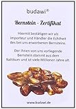 Budawi® Echter Bernstein Trommelstein 30 bis 35 mm Naturbernstein inklusive Echtheitszertifikat und Aufbewahrung im Organzasäckchen – fossiles Harz als Handschmeichler