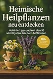 Heimische Heilpflanzen neu entdecken: Natürlich gesund mit den 30 wichtigsten Kräutern & Pflanzen – über 100 Hausmittel, DIY-Rezepte & Familienrituale für deine Hausapotheke durch das ganze Jahr