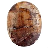 Nupuyai Versteinertes Holz Stein Handschmeichler Edelstein, Naturkristall Massagestein Heilstein Taschenstein Energiestein für Gua Sha Spa Reiki Meditation Haus Deko