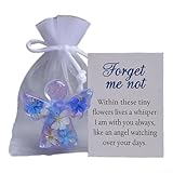 Vergissmeinnicht Engel als Symbol für Frieden und Schutz, um diejenigen zu trösten, die Verlust und Trauer konfrontiert sind (1)