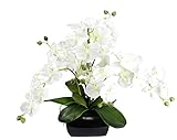 Künstliche Orchidee 40x36x36cm mit Blätter und Luftwurzeln in Schale aus Keramik Künstliche Blume Kunstorchidee Phalaenopsis mit Übertopf Kunstpflanze Hochzeit Deko Seidenblume Real Touch Blüte weiß