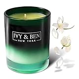 IVY & BEN NEW YORK - Luxuriöse Duftkerze im Glas - 100% Sojawachs, 200g Geschenk für Frauen, Männer, Geburtstag, Sojakerze