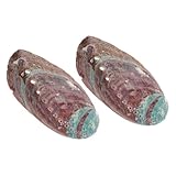 GALPADA 2 Stück Abalone Muschel Deko mit Natürlicher Oberfläche Vielseitig als Räucherschale und Aquariumdeko Naturbelassenes Robustes Design für Räucherzwecke und Wohnraumgestaltung