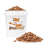 Aprikosenkerne bitter 1kg bittere ganze Aprikosenkerne ungesalzen ungeröstet naturbelassen ganze Kerne extra hoher bitter Anteil - 100% naturreines unbehandeltes Naturprodukt (1kg)