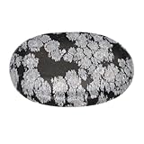 Edelstein Scheibenstein 3-5 cm + Edelsteinkarte | Handschmeichler Taschenstein Massagestein | Lebensquelle Plus (Schneeflockenobsidian)