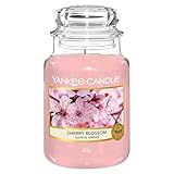 Yankee Candle Duftkerze im Glas (groß) | Cherry Blossom | Brenndauer bis zu 150 Stunden | Perfekte Geschenke für Frauen