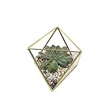 mitienda mit Liebe gemacht Geometrisches Terrarium aus Glas, Dreiecke, Mini Glas Terrarium für Sukkulenten
