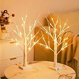 2er Set Led Birken LichterbäUme,60cm Dekozweige Mit 24 WarmweißEn LEDs,Batteriebetrieben,Led Deko Wohnzimmer FüR Zuhause Party Geburtstag Hochzeit Innendekoration (60cm/2ft)