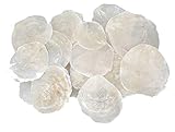 25 STK Perlmutt Scheiben Capiz Perlmuttscheiben Natur Weiss 7-11cm TISCHKARTEN Namenskarten Muschelscheiben runde Perlmuttplatten Maritime Deko Anker Ostsee Nordsee Muscheln