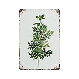 Metallschilder Grüne Botanische Heilkräuter Aquarell Kräuterblätter Kunstdruck Lustiges Drinnen Und Draußen Wandkunst, Für Bar, Badezimmer, Haus, 20x30cm