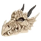 Nemesis Now AL50057 Box mit Drachenschädel, 15 cm, elfenbeinfarben