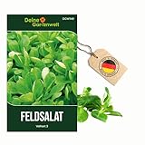 Feldsalat Volhart 3 Samen - Valerianella locusta - Salatsamen - Gemüsesamen - Saatgut für 300 Pflanzen
