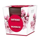 pajoma® Duftkerze, Wildkirsche - im satinierten Glas | 120g Wachsgewicht, Brenndauer: 25 Stunden, in edler Geschenkverpackung | Premium Qualität