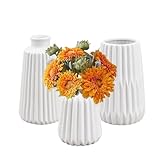 HEKOBAG 3 Stück Keramikvase Weiß Deko Vasen 3 Größen Blumenvase Tulpenvase Keramik Kleine Vasen Tischdeko Dekovase Modern Porzellan Blumenvasen für Pampasgras Trockenblumen Wohnzimmer Hochzeiten