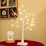 DELICHTER Lichterbaum mit 24 Warmweißen LEDs Birken Bäumchen mit Timer-Funktion Dekozweige Batteriebetrieb Weihnachtsdeko für Zuhause Party Weihnachten Ostern Hochzeit 55cm
