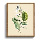 MHARTK66 Vintage Botanisch Leinwand Bilder mit Rahmen Holz, 20x25 cm Klein Wandbilder Wohnzimmer Lungenkraut Kräuterbotanik Bild Aesthetic, Illustration Wanddeko Schlafzimmer Badezimmer Büro Zimmer