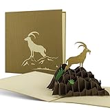 Diese-Klappkarten Wandergutschein, Einladung zum Klettern, Gutcheinkarte als Reisegutschein für Wandern in Bayern oder in der Schweiz, Ausflug, Bergsteigen, Geschenk, H09