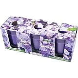 HS Candle Duftkerzen Classic 3er Pack im Glas, lange Brenndauer und angenehmer Duft (Lavendel)