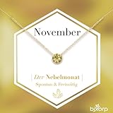 Bixorp Geburtsstein Halskette mit Zirkonia-Anhänger November - Edelstahlkette mit rundem Zirkonia-Kristall - November/Citrin - Gold