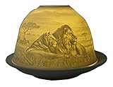CBK-MS Dome Light Löwen Windlicht Löwe Löwenbaby Katze Tiere Afrika Panthera Leo Teelichthalter