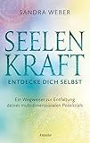 Seelenkraft – Entdecke dich selbst: Ein Wegweiser zur Entfaltung deines multidimensionalen Potenzials