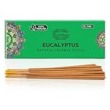 raajsee Incense Sticks Eucalyptus 100 gm Pack-100% Pure Organic Natural Hand Rolled Free from Chemicals-Perfect for Church, Aromatherapy,Relaxation,Meditation,Positivity & Sensual Therapy