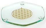 Energy Plate 9 cm